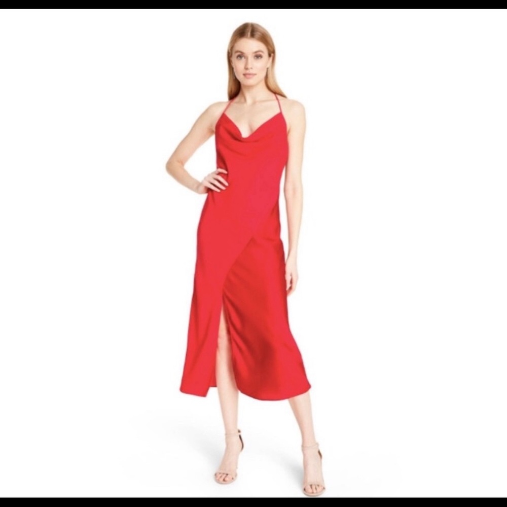 COPY - CUSHNIE target brand dress